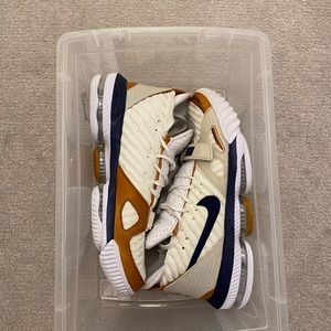 Lebron 16 air trainer medicine ball